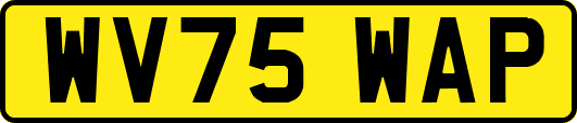 WV75WAP