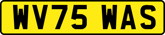 WV75WAS