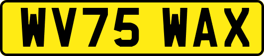 WV75WAX