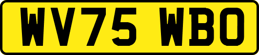 WV75WBO