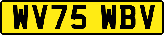 WV75WBV