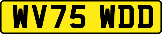 WV75WDD