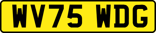 WV75WDG
