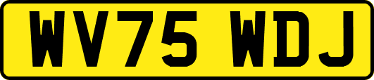 WV75WDJ