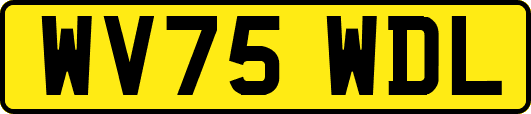 WV75WDL