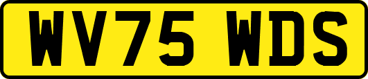 WV75WDS