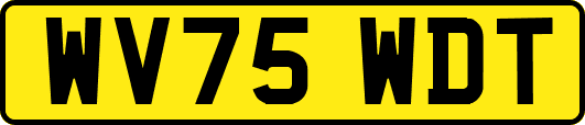 WV75WDT