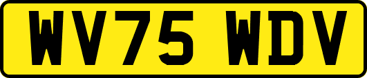 WV75WDV