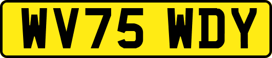 WV75WDY