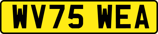 WV75WEA