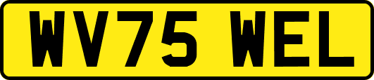 WV75WEL
