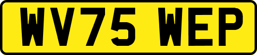 WV75WEP
