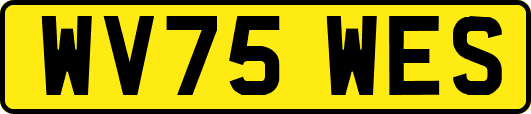 WV75WES
