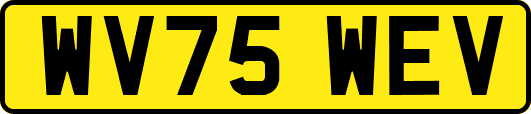 WV75WEV