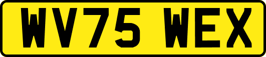 WV75WEX