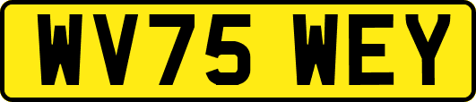 WV75WEY