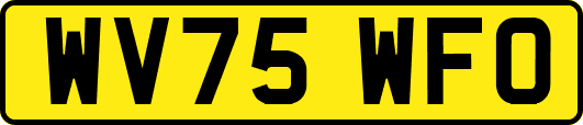 WV75WFO