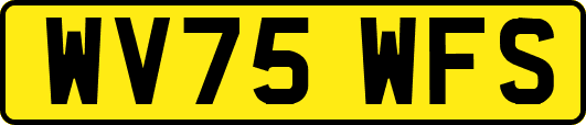 WV75WFS