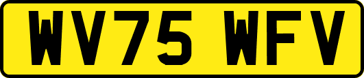 WV75WFV