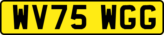 WV75WGG