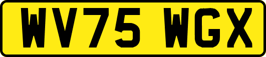 WV75WGX