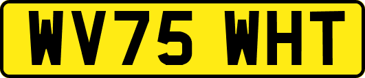 WV75WHT