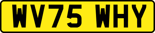 WV75WHY