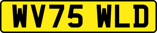 WV75WLD