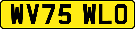 WV75WLO