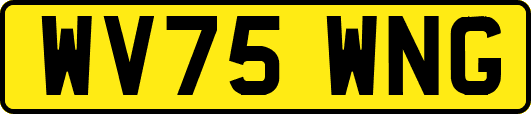 WV75WNG