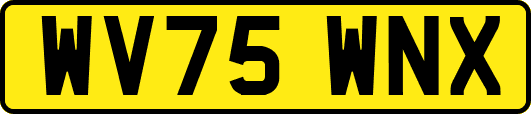 WV75WNX