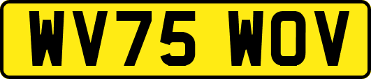 WV75WOV