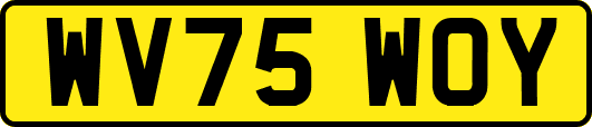 WV75WOY