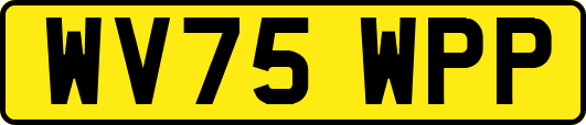 WV75WPP