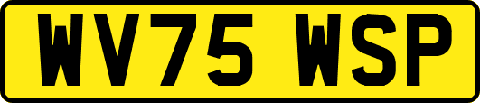 WV75WSP