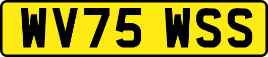 WV75WSS