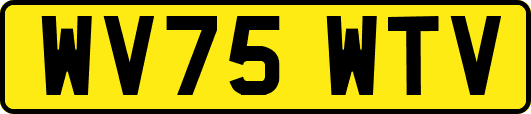 WV75WTV