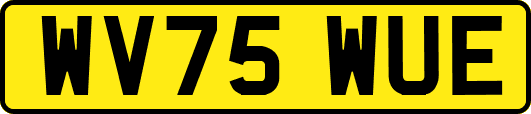 WV75WUE