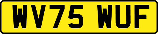 WV75WUF