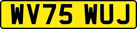 WV75WUJ