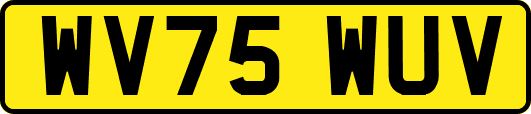 WV75WUV
