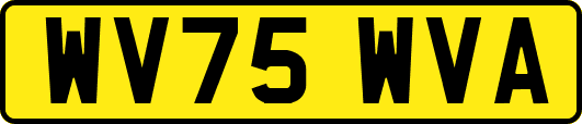 WV75WVA