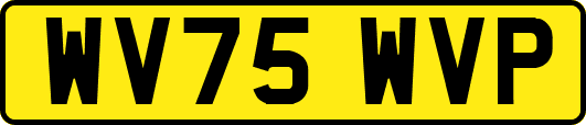 WV75WVP