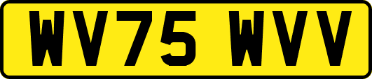 WV75WVV
