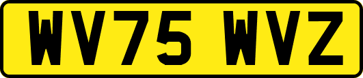 WV75WVZ