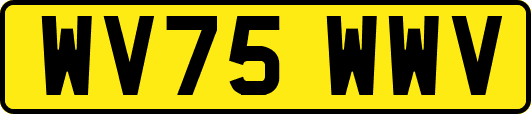 WV75WWV