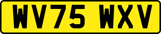 WV75WXV