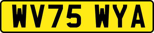 WV75WYA