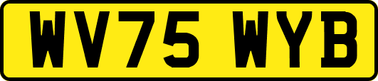 WV75WYB