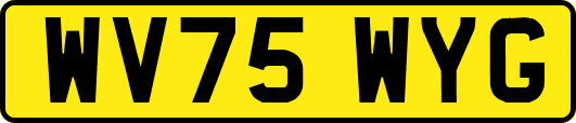 WV75WYG